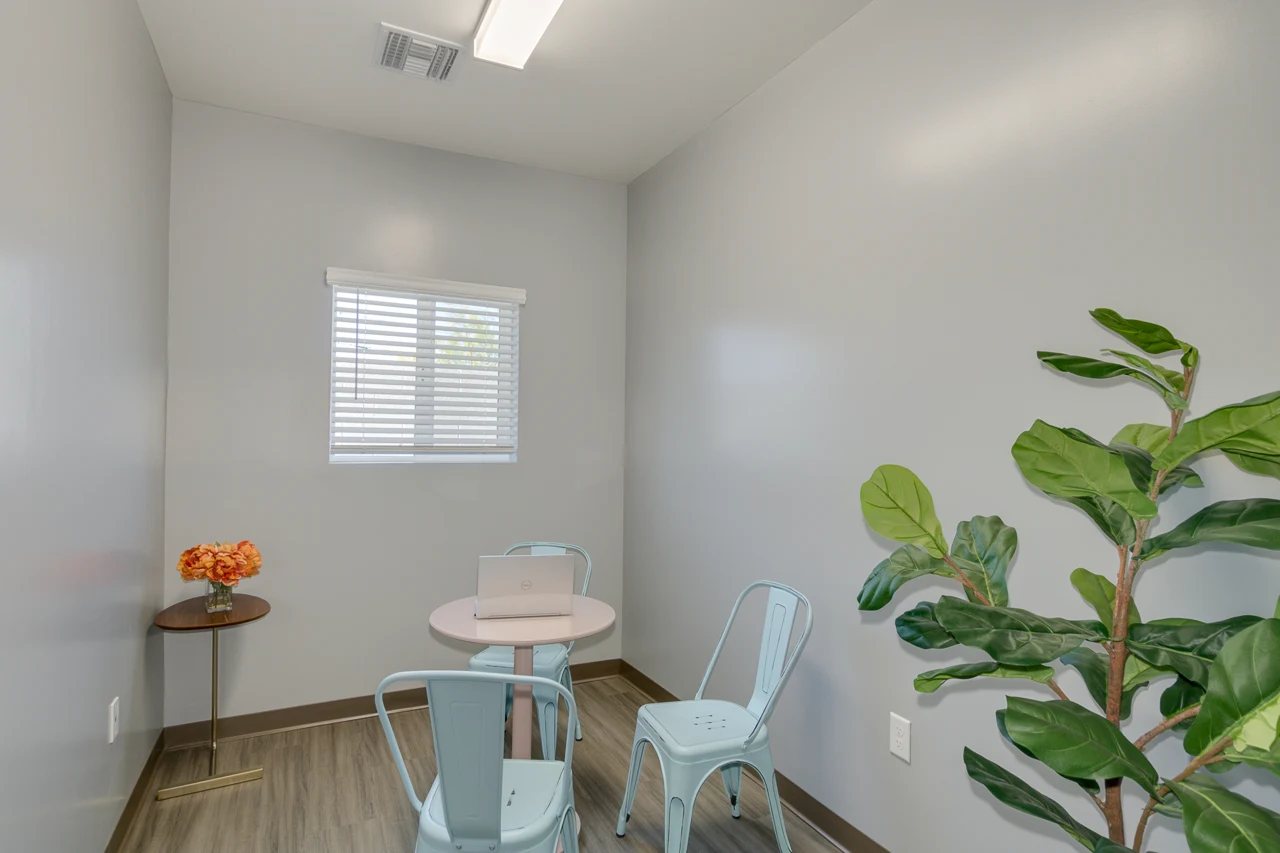A small sitting area with two chairs and a plant